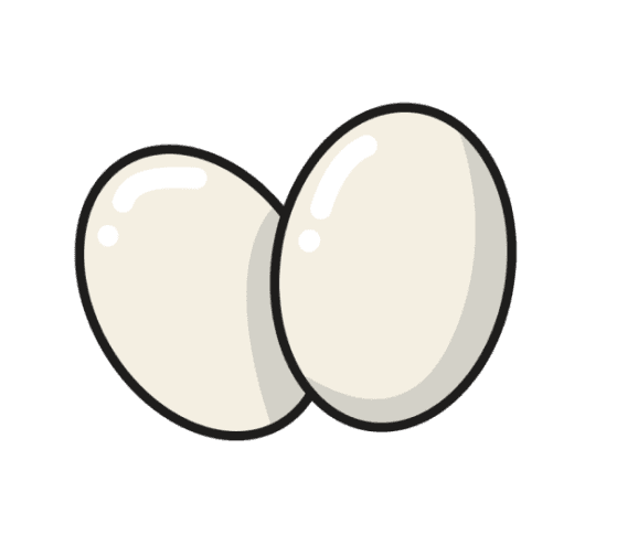 ACME Egg Organic Free Range